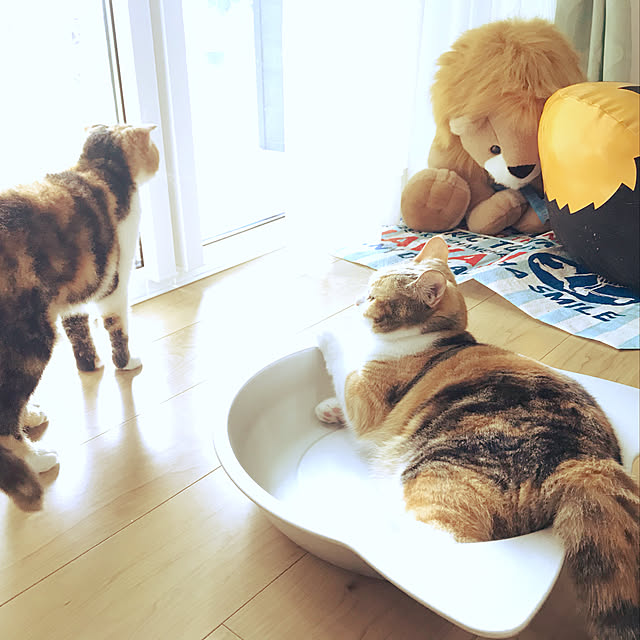 mamekinaさんの実例写真