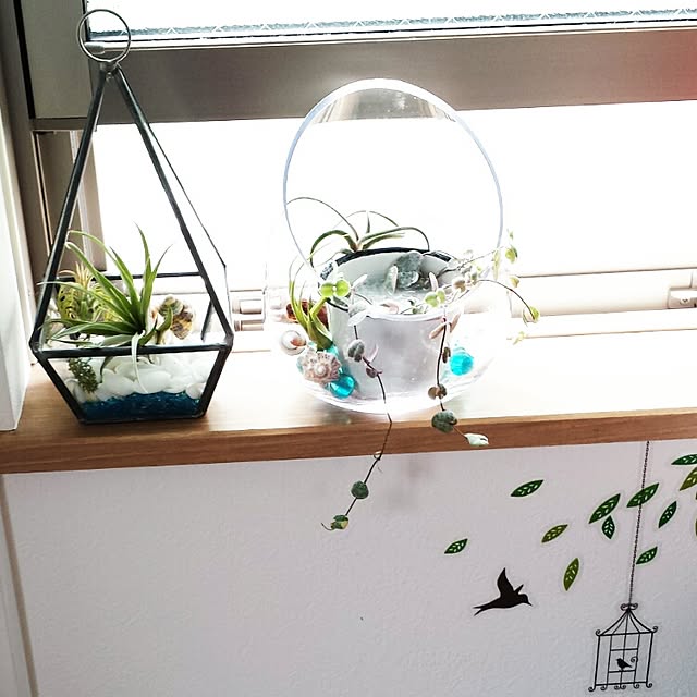 mikimaruさんの実例写真
