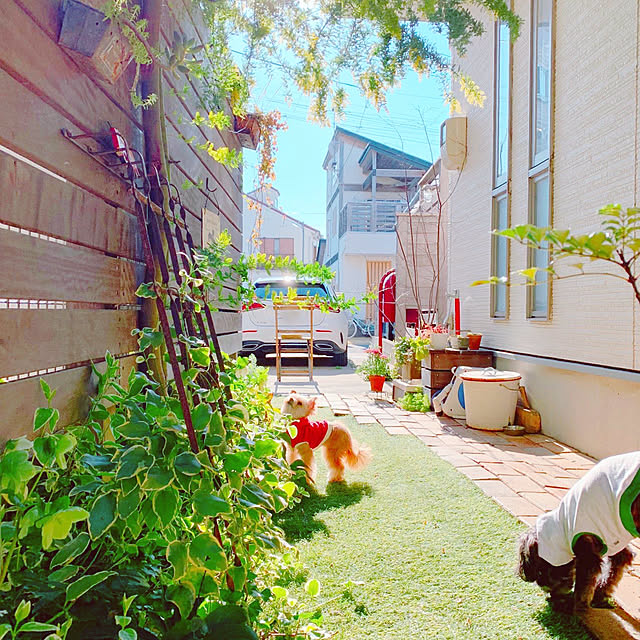 risaさんの実例写真