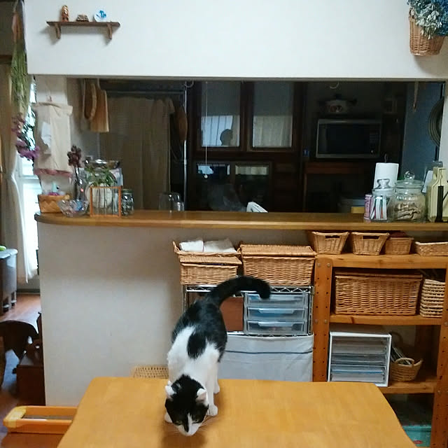 yum0408さんの実例写真