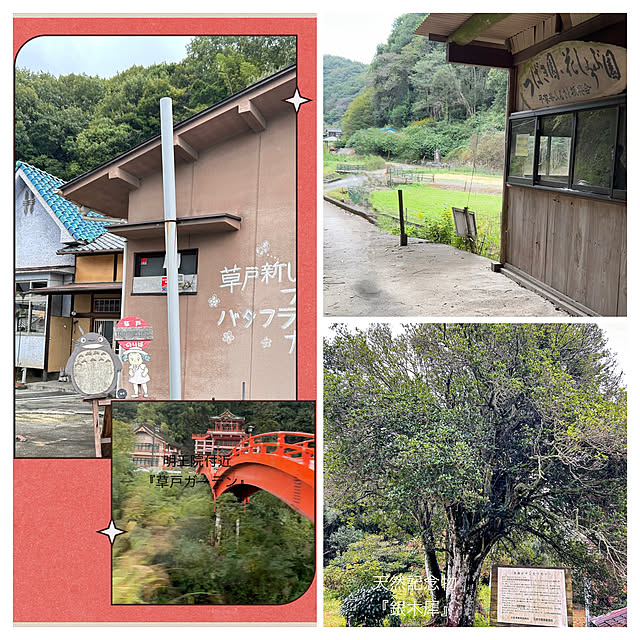 akaidarumaさんの部屋