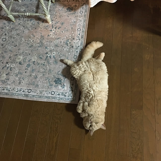 naokoさんの部屋