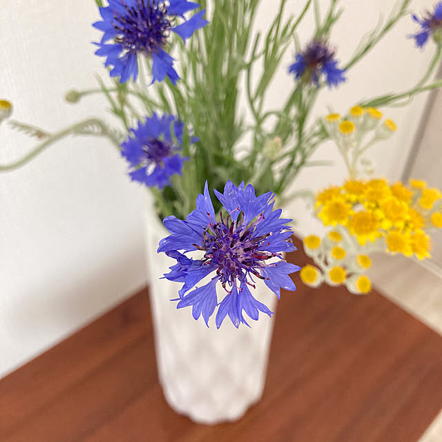 kuroさんの実例写真