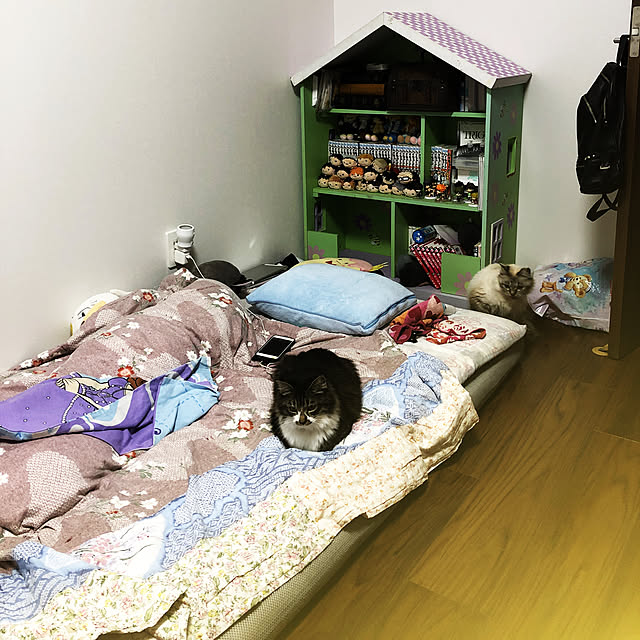 ベッド周りのインテリア実例 - 2018-12-09 21:45:54