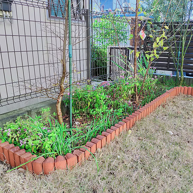 masaさんの実例写真