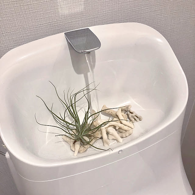 c.y0912さんの実例写真