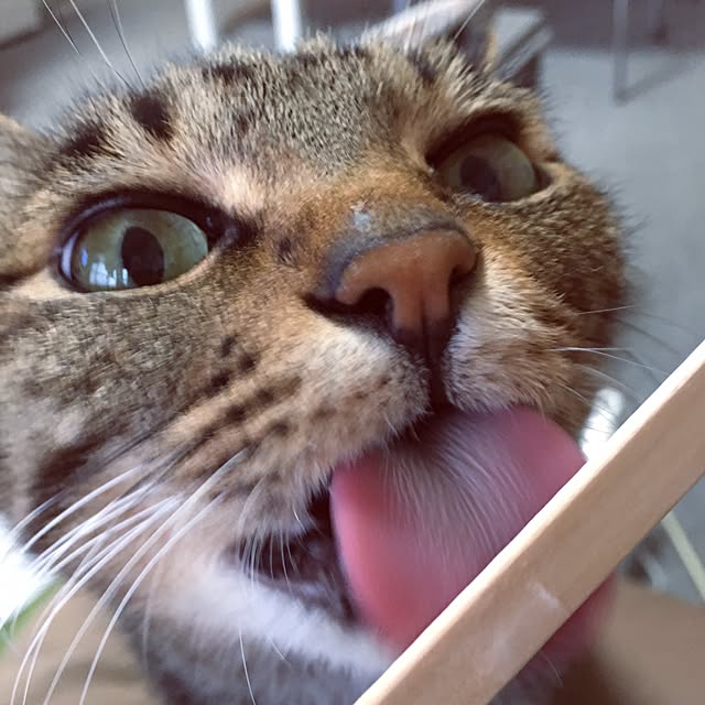 shigimiさんの実例写真