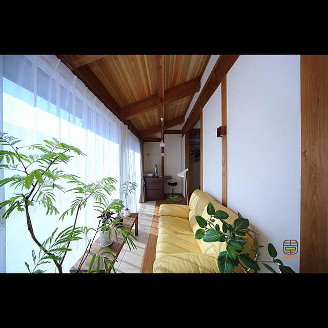 壁/天井/勾配/ソファー/観葉植物/建築...などのインテリア実例 - 2019-05-09 11:14:41
