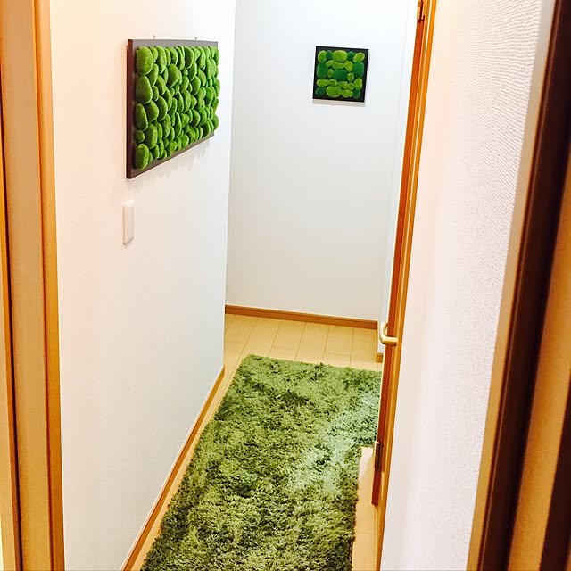 実例写真