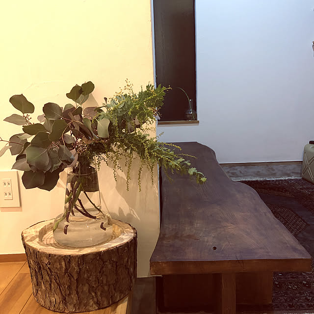 植物/玄関/入り口のインテリア実例 - 2022-02-05 19:41:35