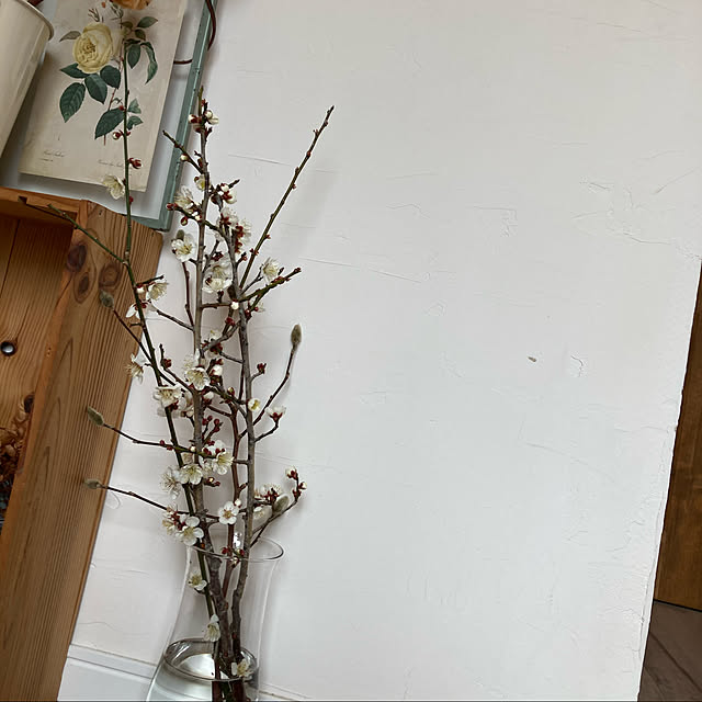 momomoさんの実例写真