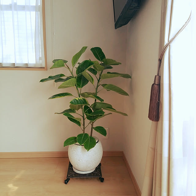 Mikaさんの実例写真