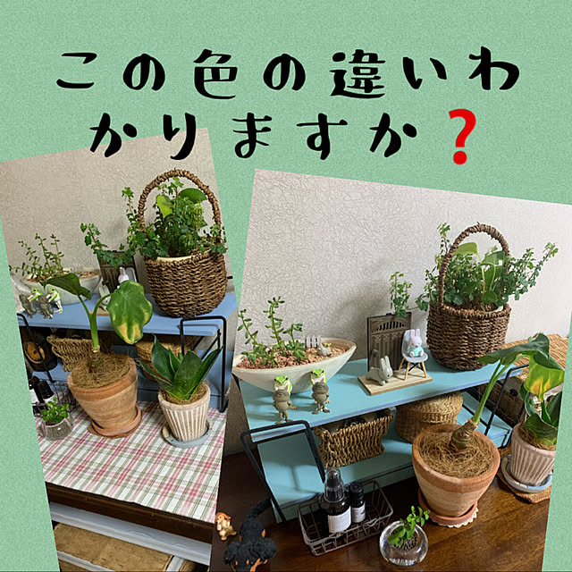 JUNさんの実例写真