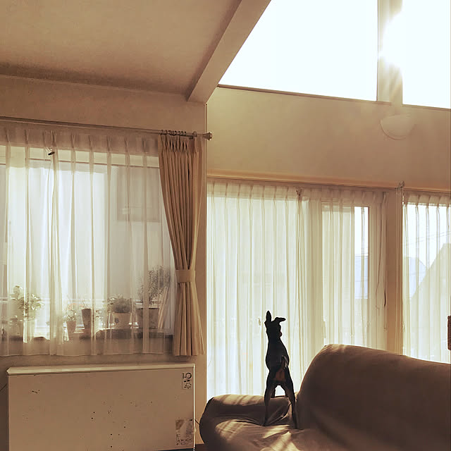 mittuさんの実例写真