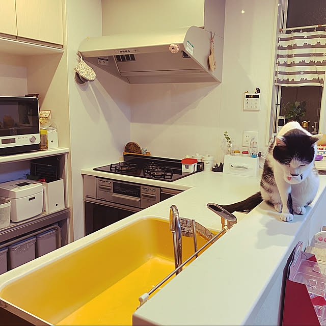 keito814さんの実例写真