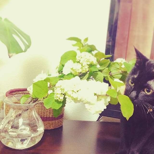 Kさんの実例写真