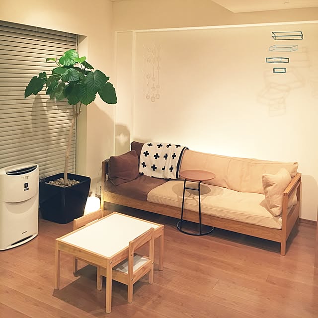 DailyRoomclip