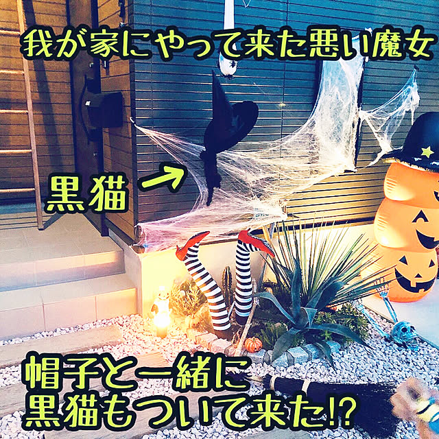 Has.RockUkeyさんの実例写真
