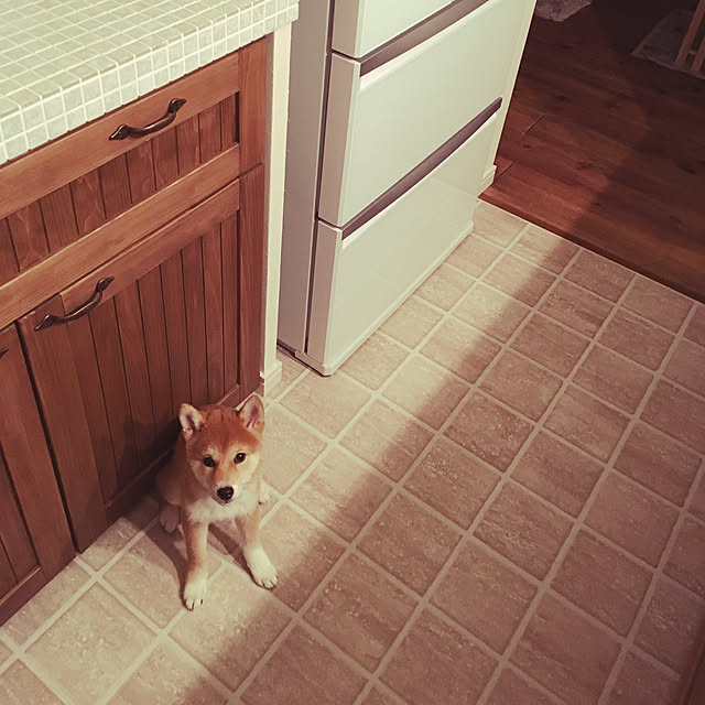 usaさんの実例写真