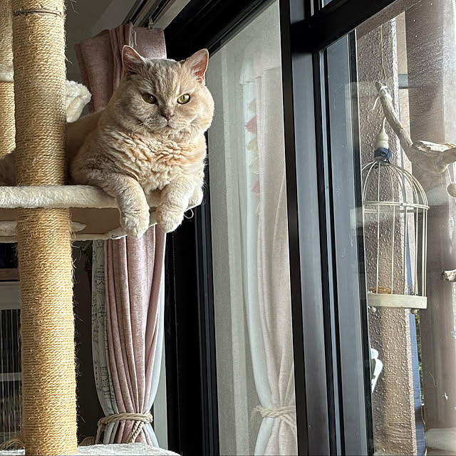 naokoさんの実例写真