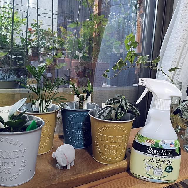 kazuさんの部屋