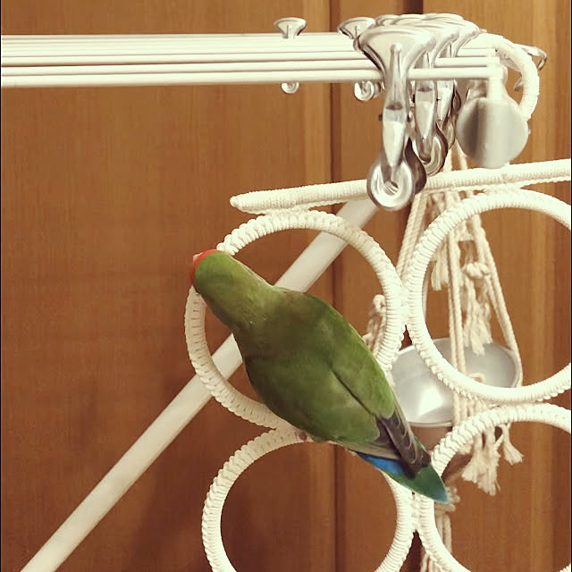 Rechanさんの実例写真