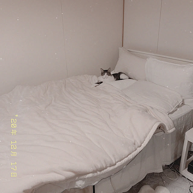 Shihoさんの実例写真