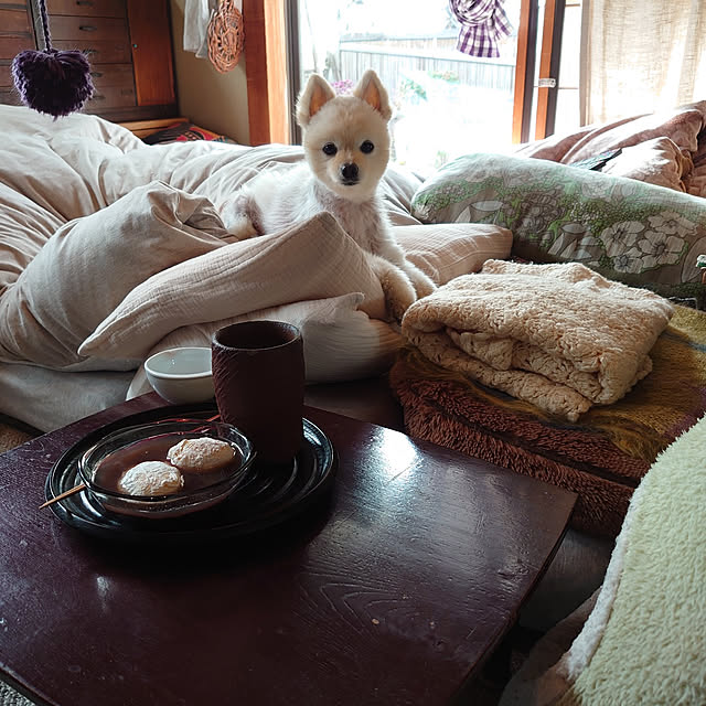 akaidarumaさんの実例写真