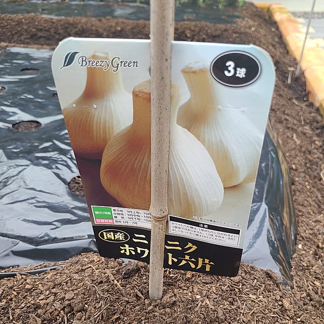 Rubiconさんの実例写真