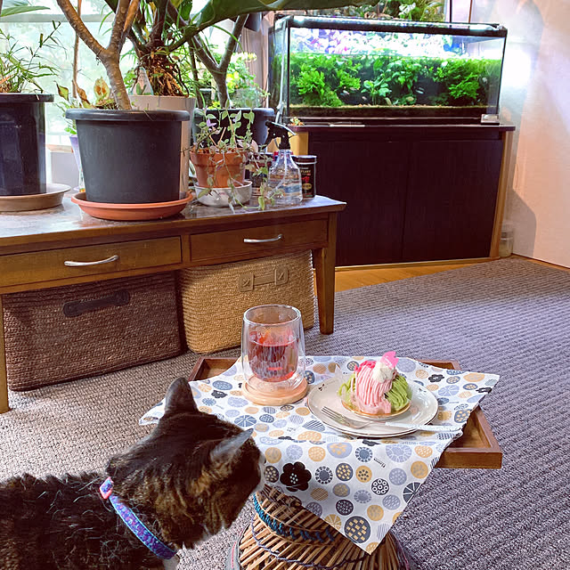 simayaさんの実例写真