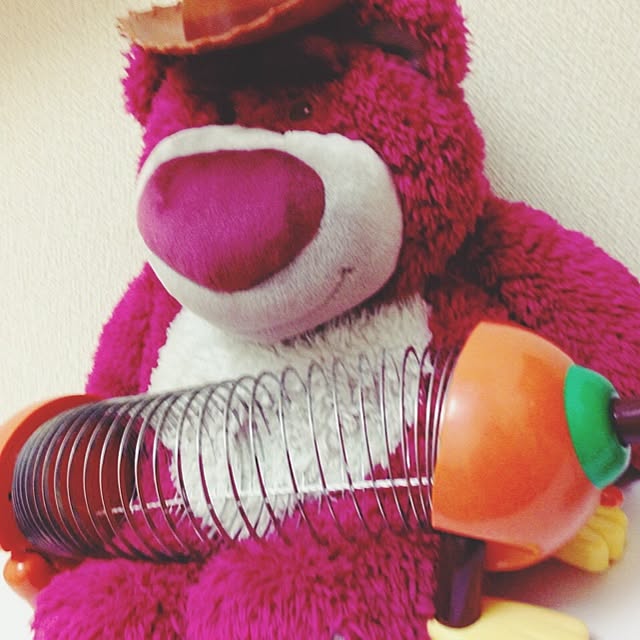 SaRa_Toyさんの実例写真