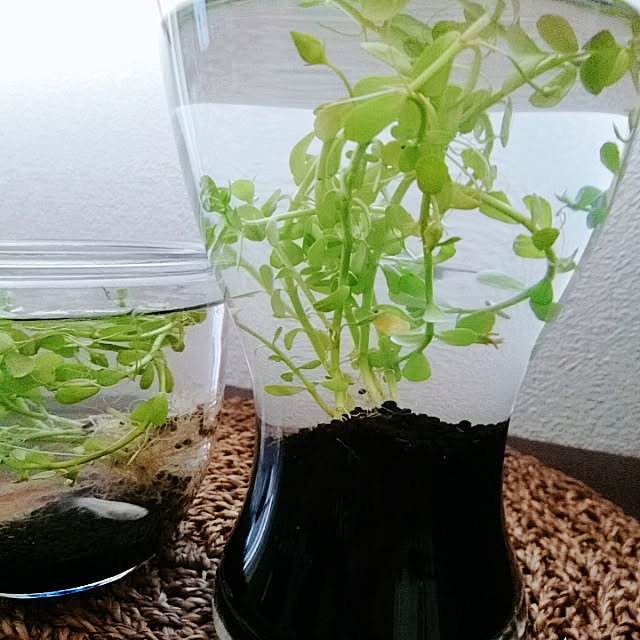 mikoさんの実例写真