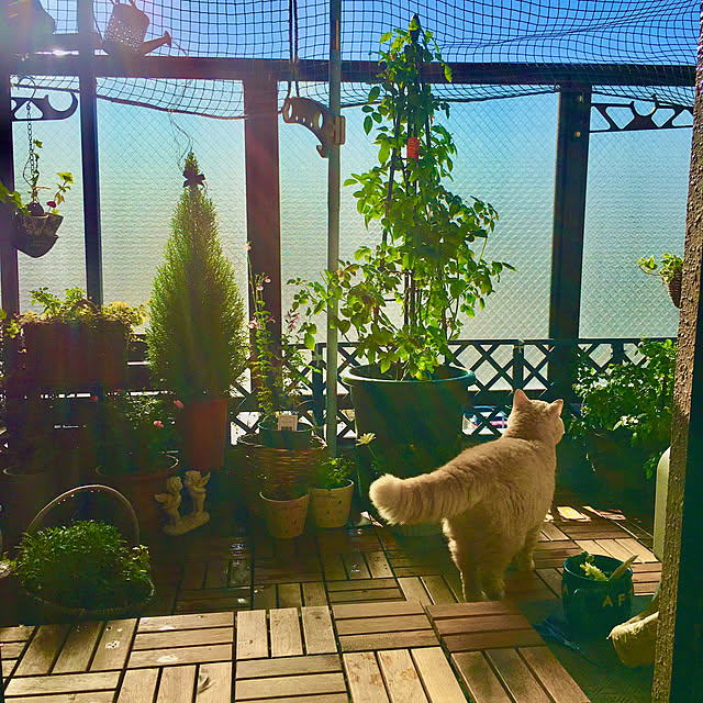 naokoさんの実例写真