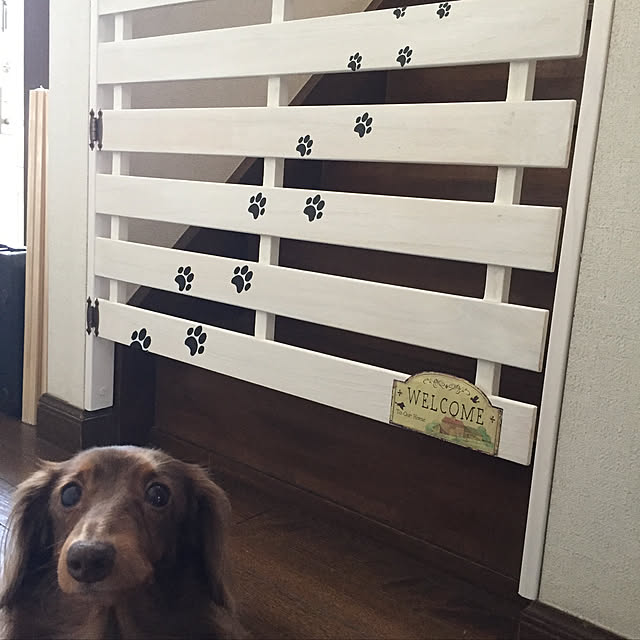 noahmayuさんの実例写真