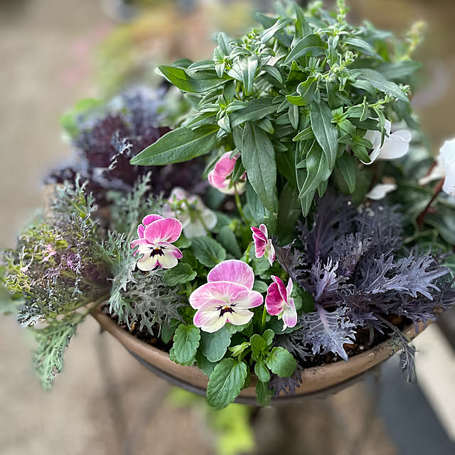 buchiさんの部屋