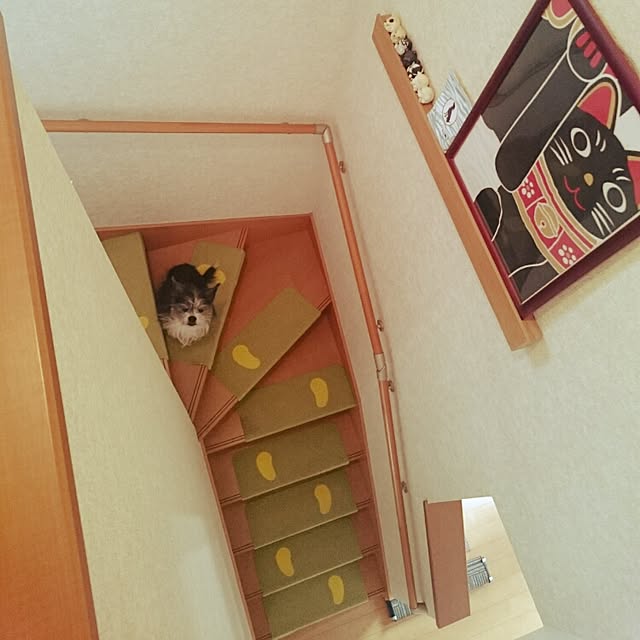 kosame918さんの実例写真
