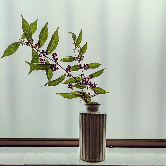 Renさんの部屋
