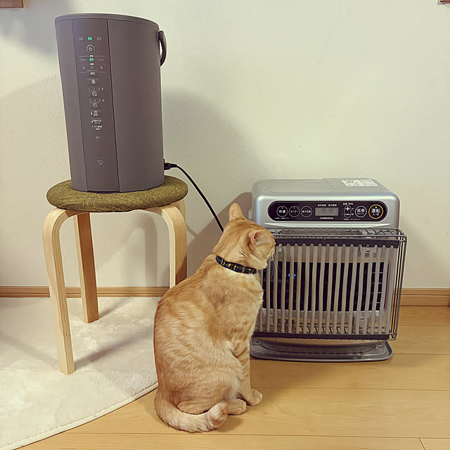 chiiさんのお部屋の写真