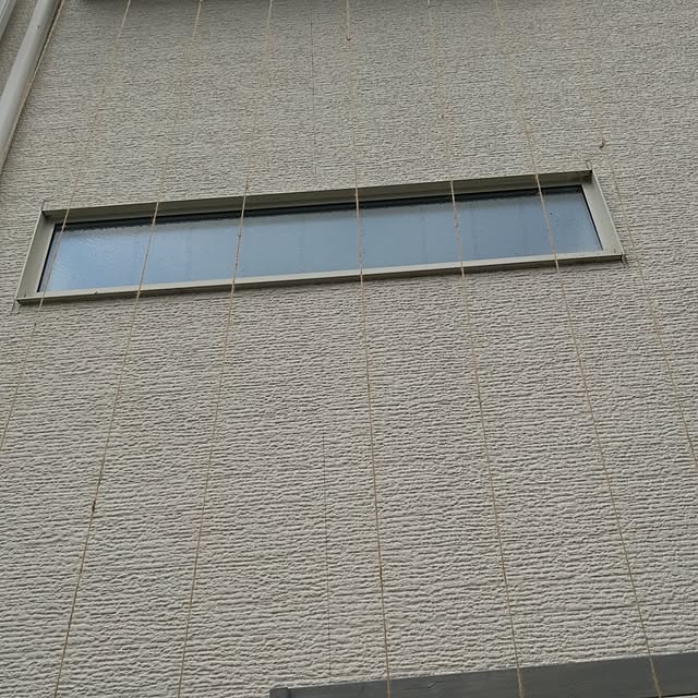 mamekoさんの部屋