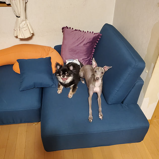 Minaさんの実例写真
