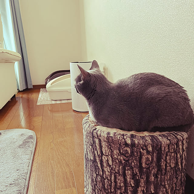 kyonさんの実例写真