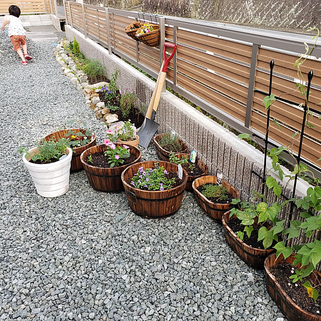 saさんの実例写真