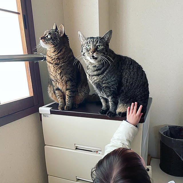 Kanakoさんの実例写真