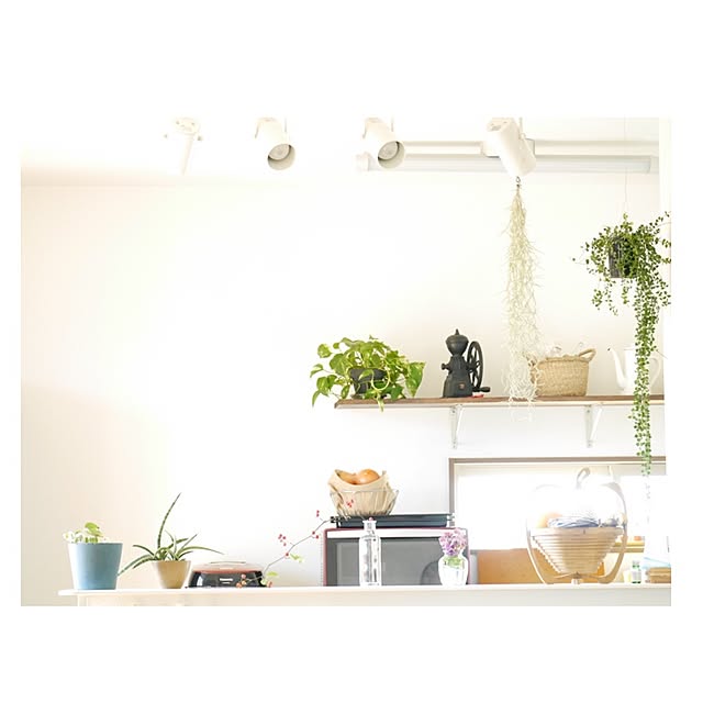 omamesan1021さんの実例写真