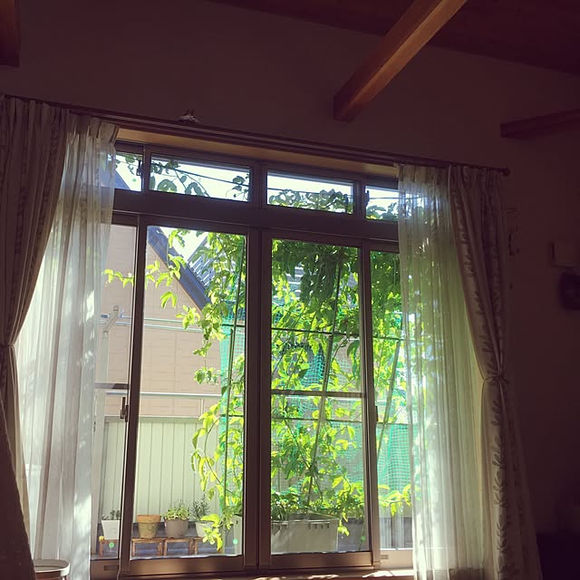 Yuriyuriさんの実例写真