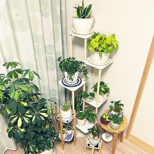 yoyoyoさんの部屋