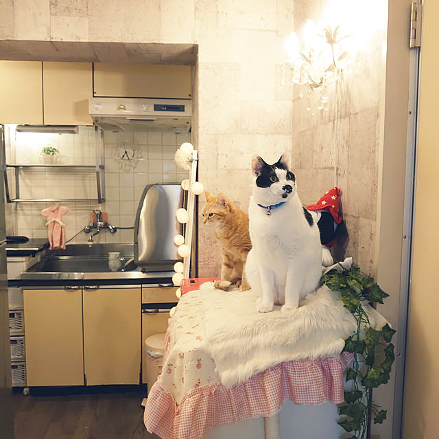 asuminさんの実例写真