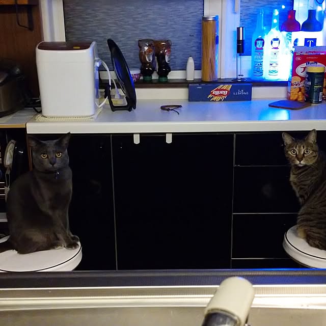 raraさんの実例写真