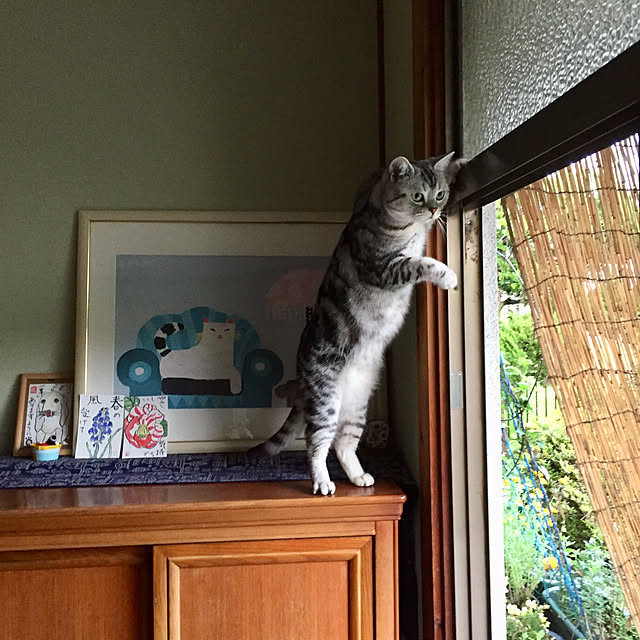 tanutanさんの実例写真