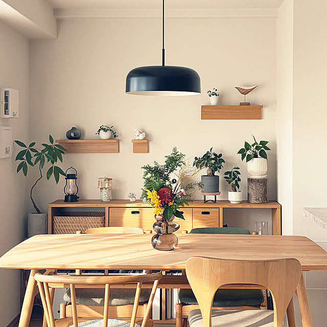 Anthuriumさんの部屋